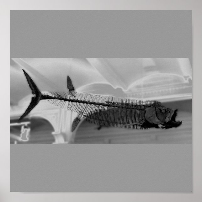 Prehistoric Fish B+W Poster (Front)