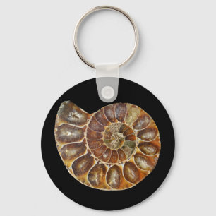 prehistoric fossil snail shell black animal nature keychain