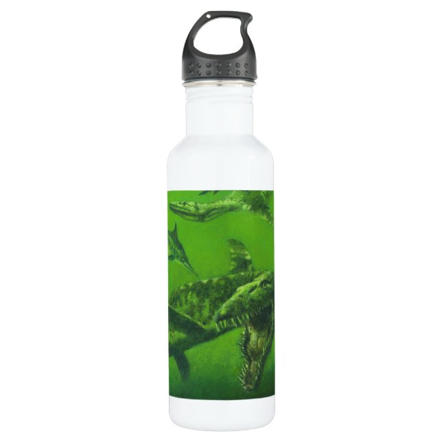 Prehistoric Jurassic Pliosaur 710 Ml Water Bottle (Front)