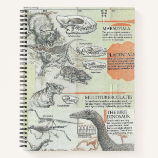 Prehistoric Notebook