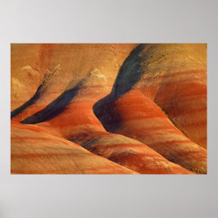 Prehistoric Poster