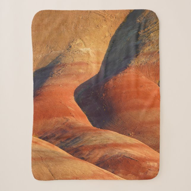 Prehistoric Sherpa Blanket (Front)