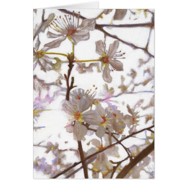 Prelude 2014 (Front)