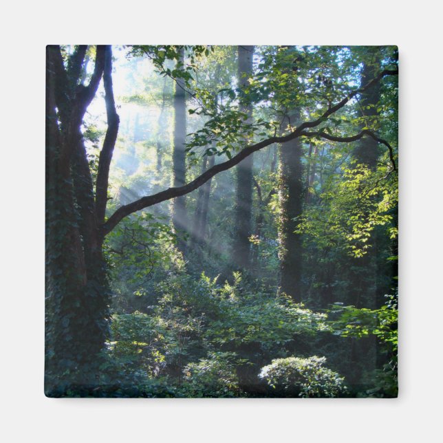 Premier aimant de lumière (Devant)