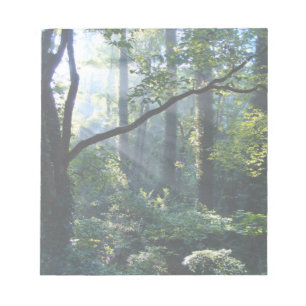 Premier Bloc-notes lumineux