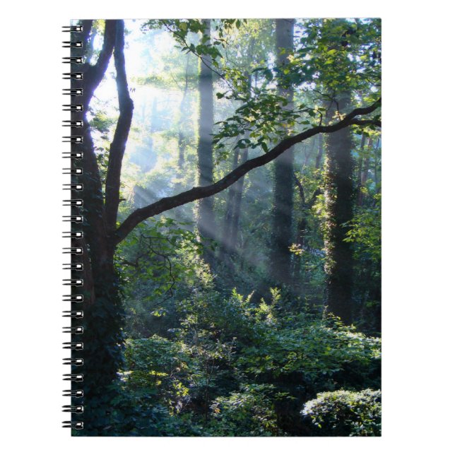 Premier Carnet lumineux (Devant)