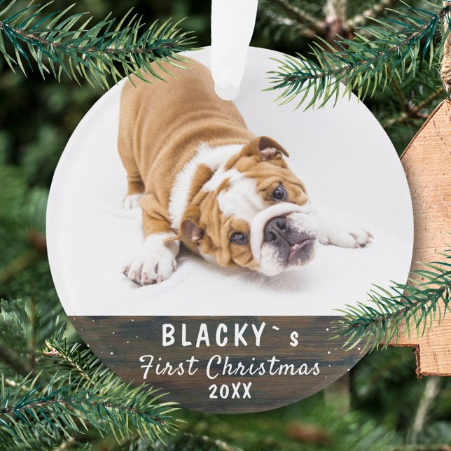Premier chiot Noël mignon Russe Photo animal de co (Créateur téléchargé)