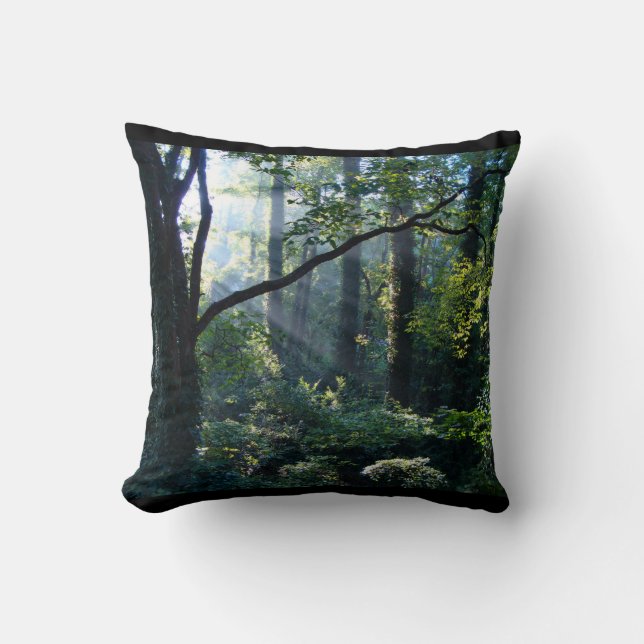 Premier Coussin (Recto)