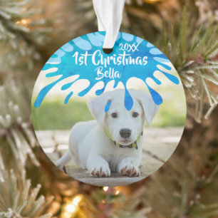 Premier Noël Chiot Bleu Splash Photo de Noël