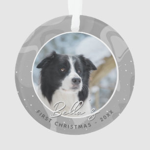 Premier Noël de chiot Border Collie Photo