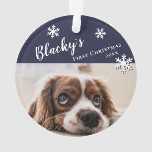 Premier Noël de chiot Nom et photo du chien