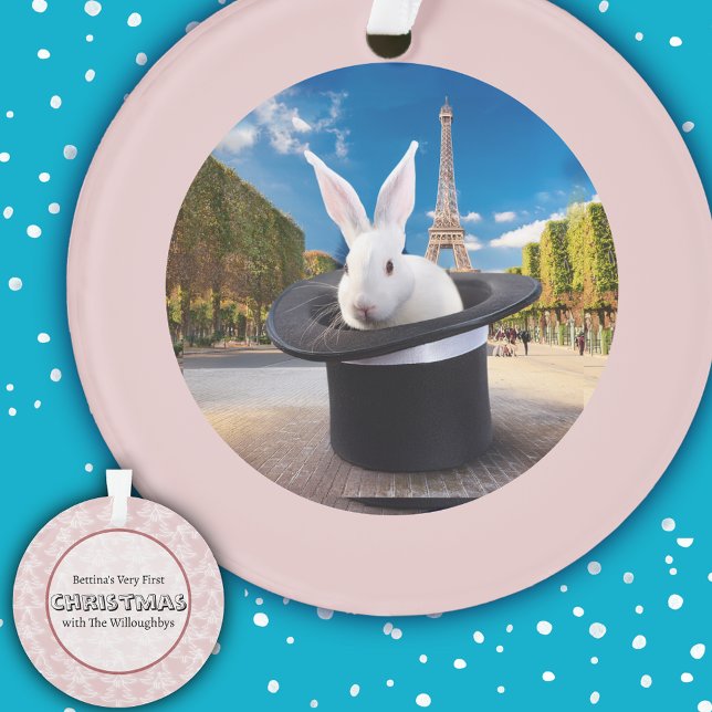 Premier Noël de Paris Rabbit (Créateur téléchargé)