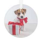 Premier Noël de votre chien | Charbon avec photos