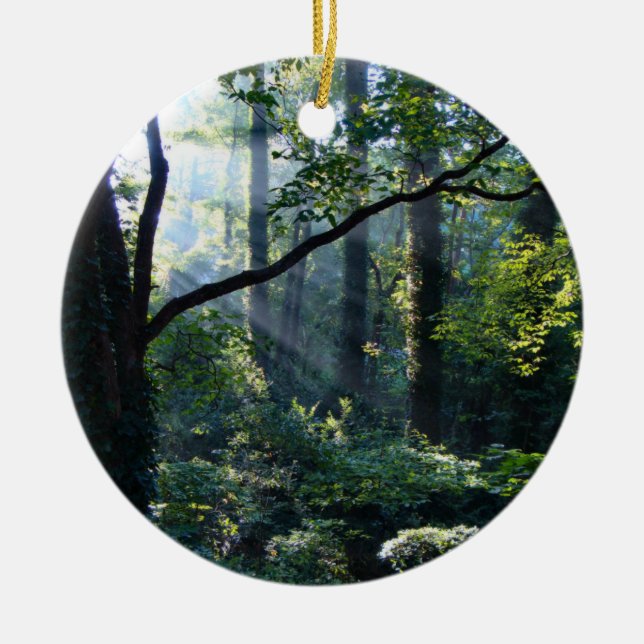 Premier ornement de lumière (Devant)