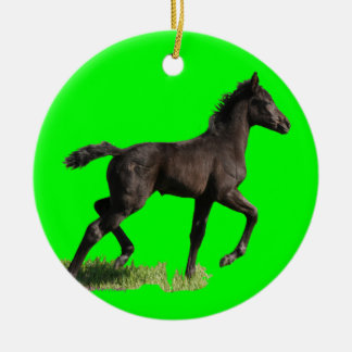 Premier ornement de Noël du petit de pouliche bébé