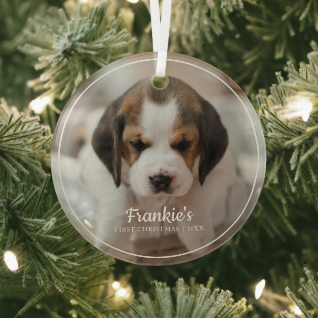 Premier ornement photo de Noël de l'animal de comp (Insitu)
