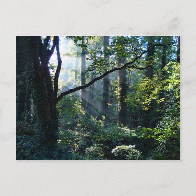 Première carte postale (Devant)