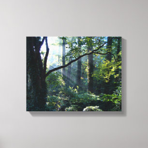 Première impression de canvas légers