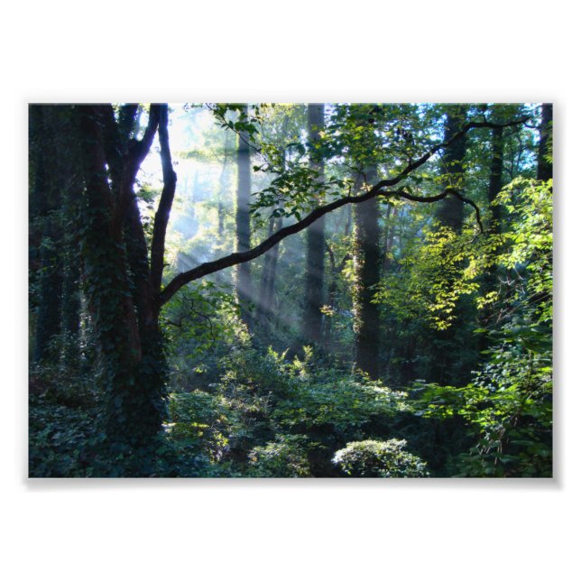 Première impression photo légère (Devant)