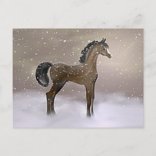 "Première neige" ~ Carte postale