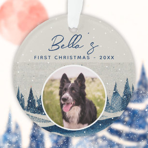 Première Noël de chiot forêt d'hiver Photo de chie