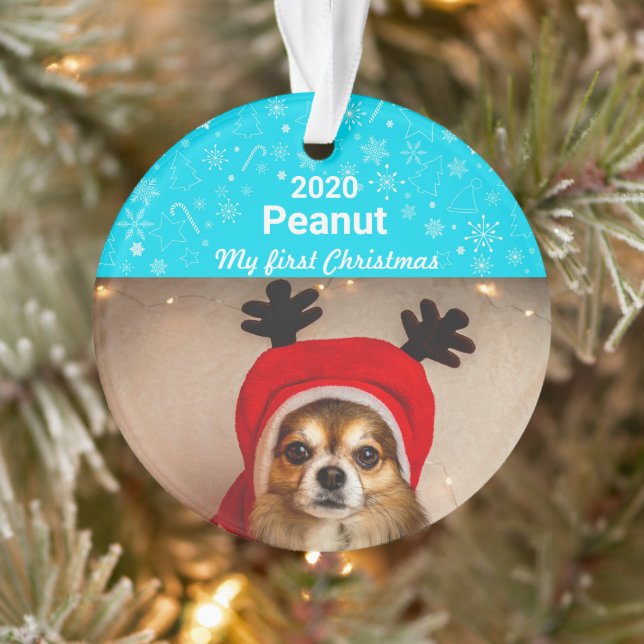 Première photo de Noël de la chienne (Arbre)