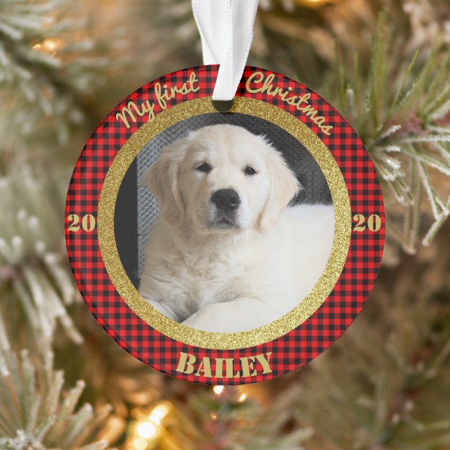 Première photo de Noël de la chienne (Arbre)