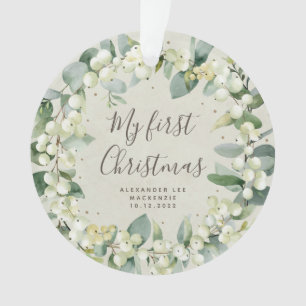Première photo de Noël de l'Élégant Bébé des neige