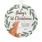 Première photo de Noël du bébé de renard vert rust