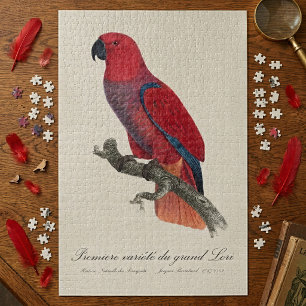 Premiere variete du grand Lori / Eclectus parrot  Jigsaw Puzzle
