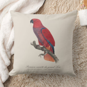 Premiere variete du grand Lori / Eclectus parrot  Throw Pillow