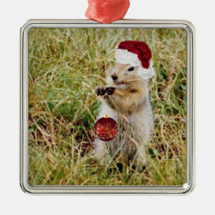 Premium Ornament w/ prairie dog