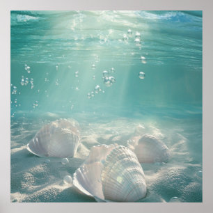 Premium Seafoam Green Seashell Art Print