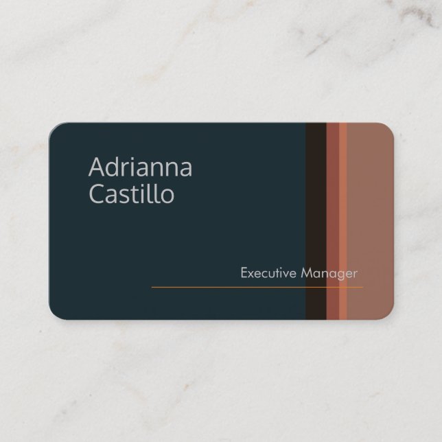 Premium Silk Minimalist Modern Plain Business Card (Front)