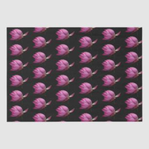 Premium Sophisticated Pink Waterlily on Black Tissue Paper