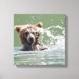 Premium Wrapped Canvas 12x12 w/ grizzly bear cub