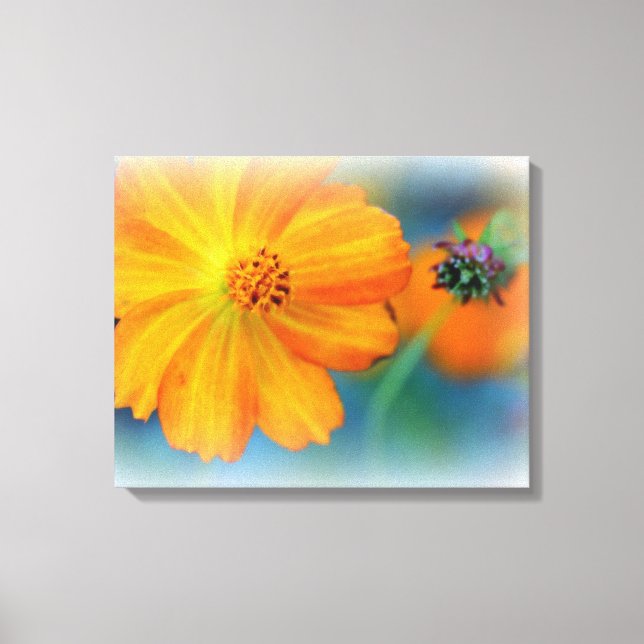 Premium Wrapped Canvas (Gloss) Flowers (Front)