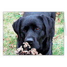 Prenez du temps - Black Lab - Black Labrador