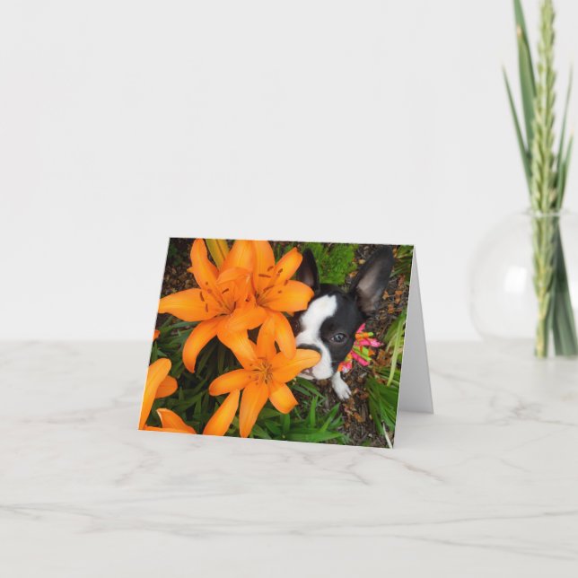Prenez du temps de sentir les fleurs - CARTE (Devant)