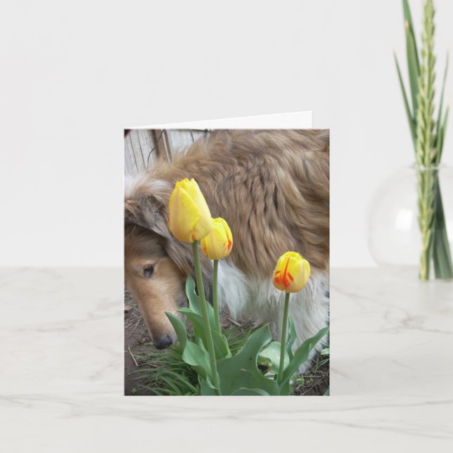 Prenez du temps de sentir les fleurs, cartes de (Devant)