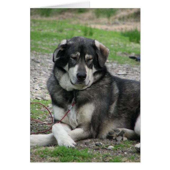 Prenez-le facile ! (Devant)