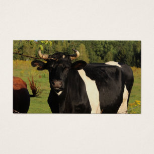 Prenez le taureau par les cornes