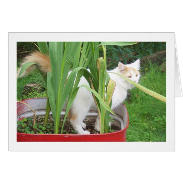 PRENEZ LE TEMPS DE JOUER C'EST "VOTRE ANNIVERSAIRE (Devant horizontal)