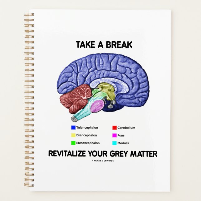 Prenez Une Pause Revitalisez Votre Cerveau En Mati (Devant)