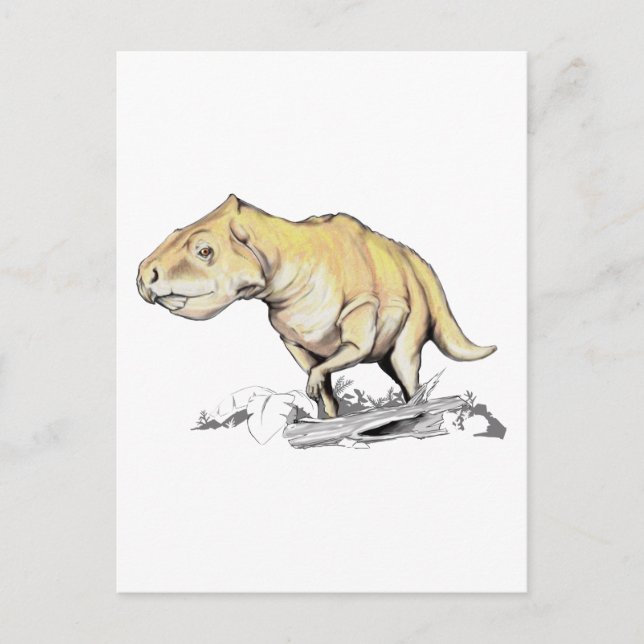 Prenoceratops pieganensis postcard (Front)