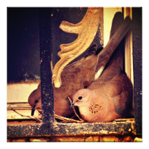 Preparation  photo print