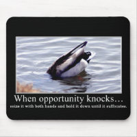 Prepare yourself for new opportunities