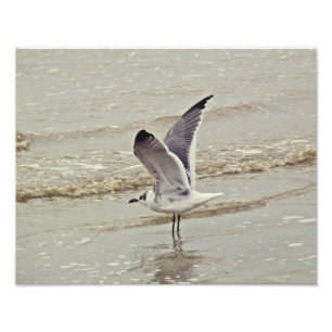 Préparez pour la photo de vol