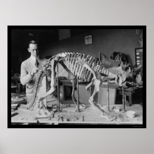 Preparing a Baby Dinosaur Skeleton 1921 Poster
