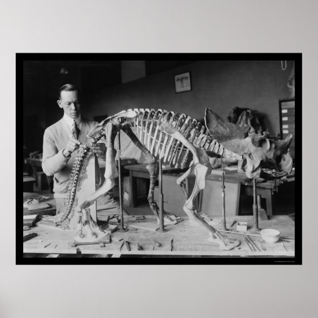 Preparing a Baby Dinosaur Skeleton 1921 Poster (Front)